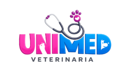 chatgpt logo transparente